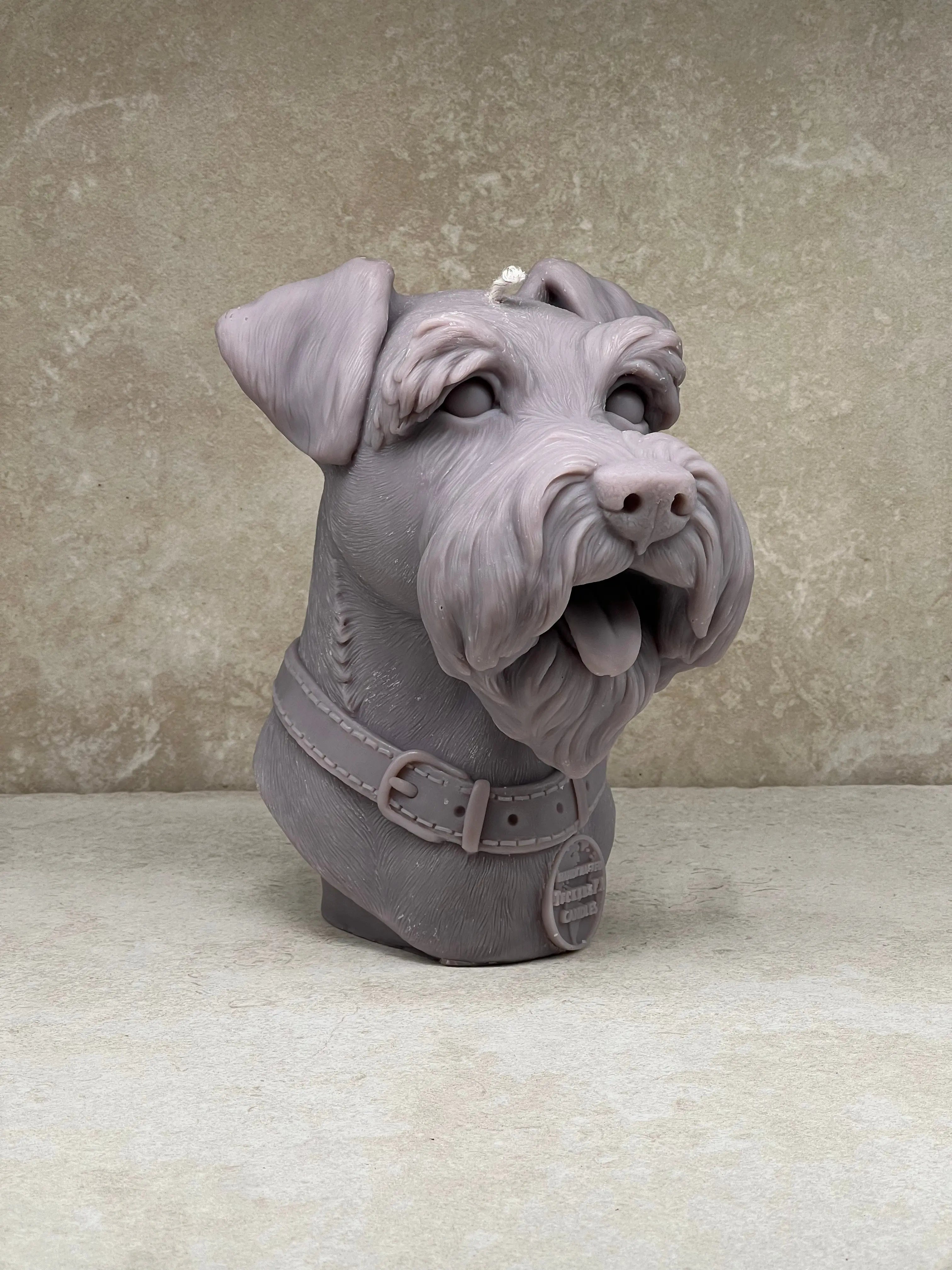 Schnauzer Tuckersfx