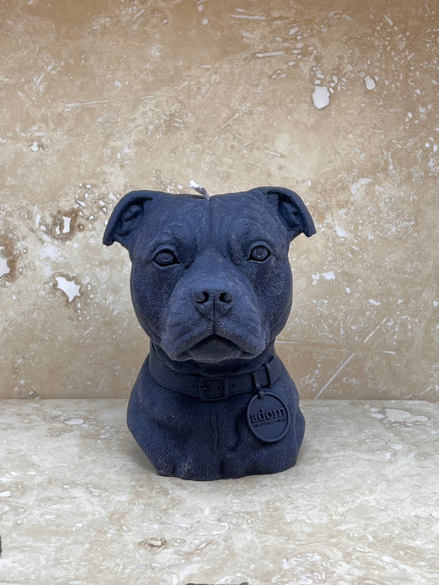 Staffordshire Bull Terrier Tuckersfx