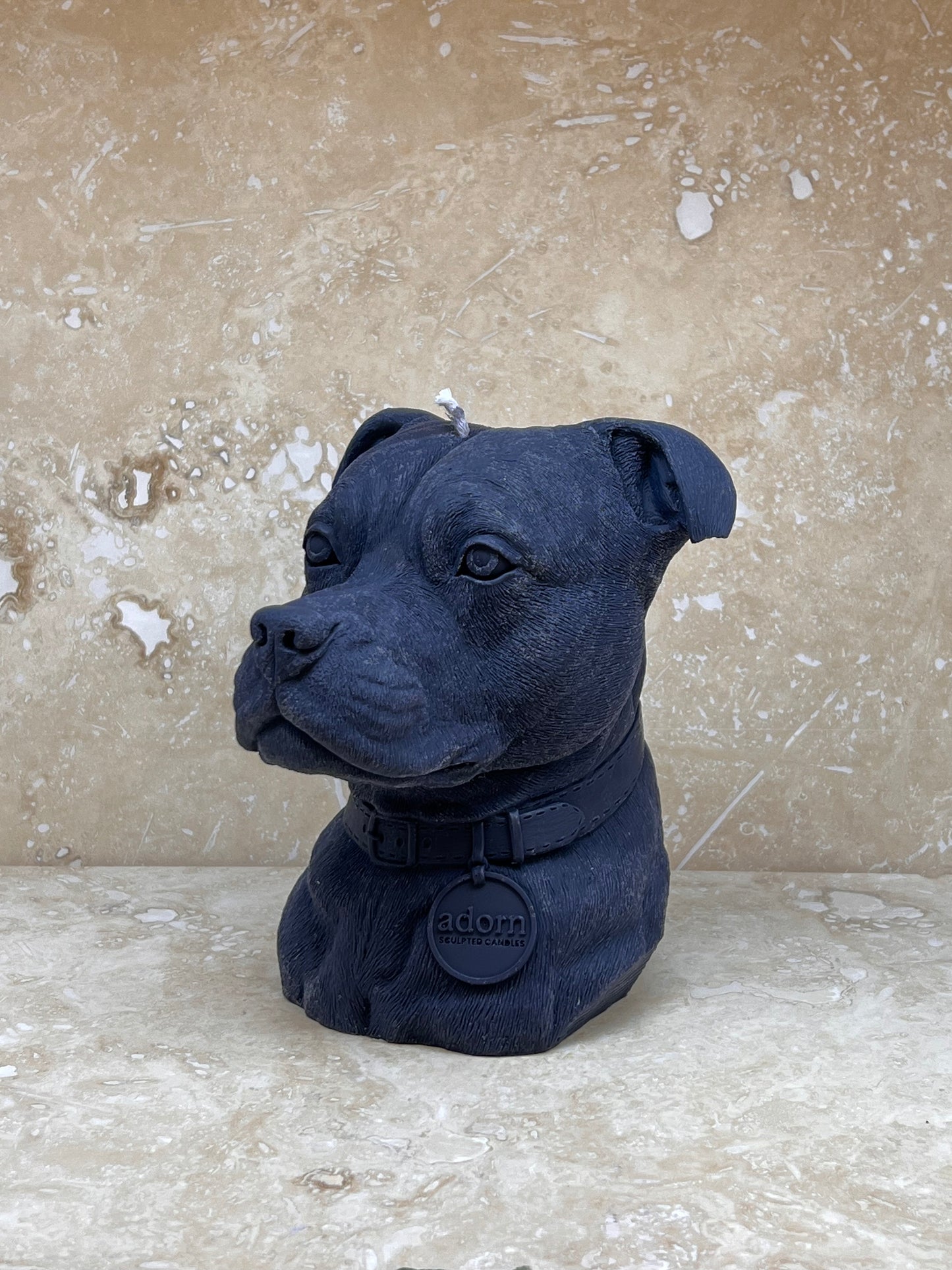 Staffordshire Bull Terrier Tuckersfx