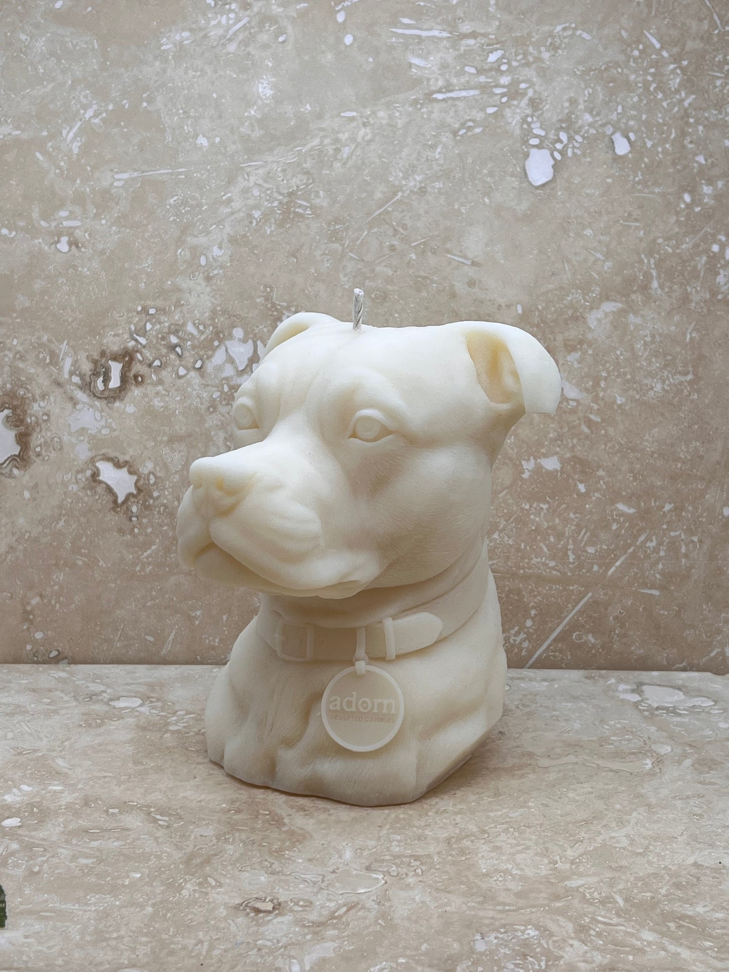 Staffordshire Bull Terrier Tuckersfx