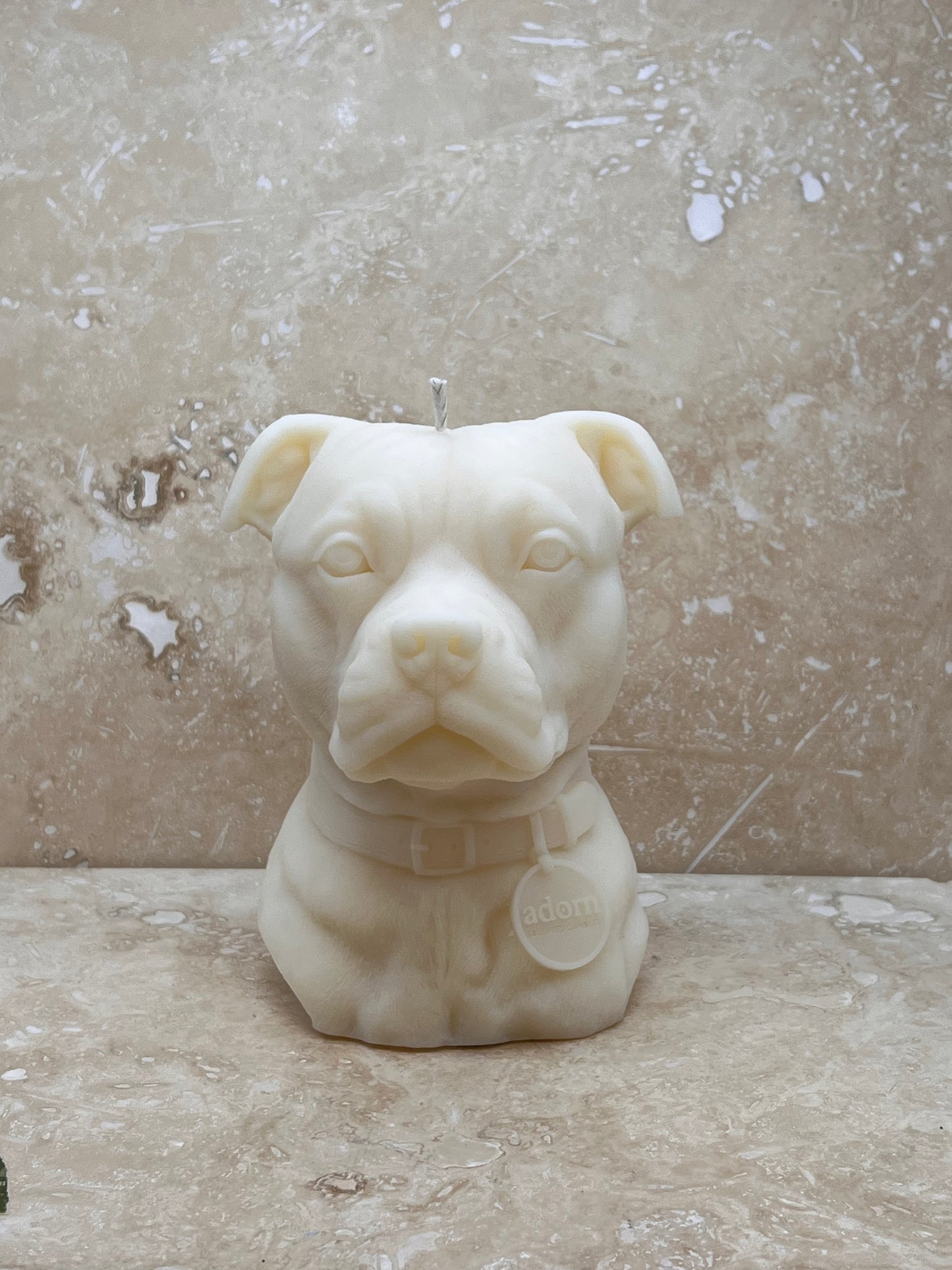 Staffordshire Bull Terrier Tuckersfx