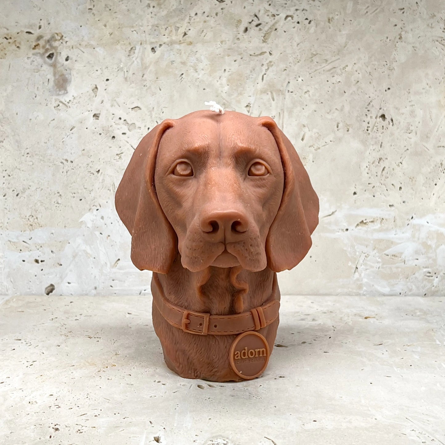 Vizsla Tuckersfx