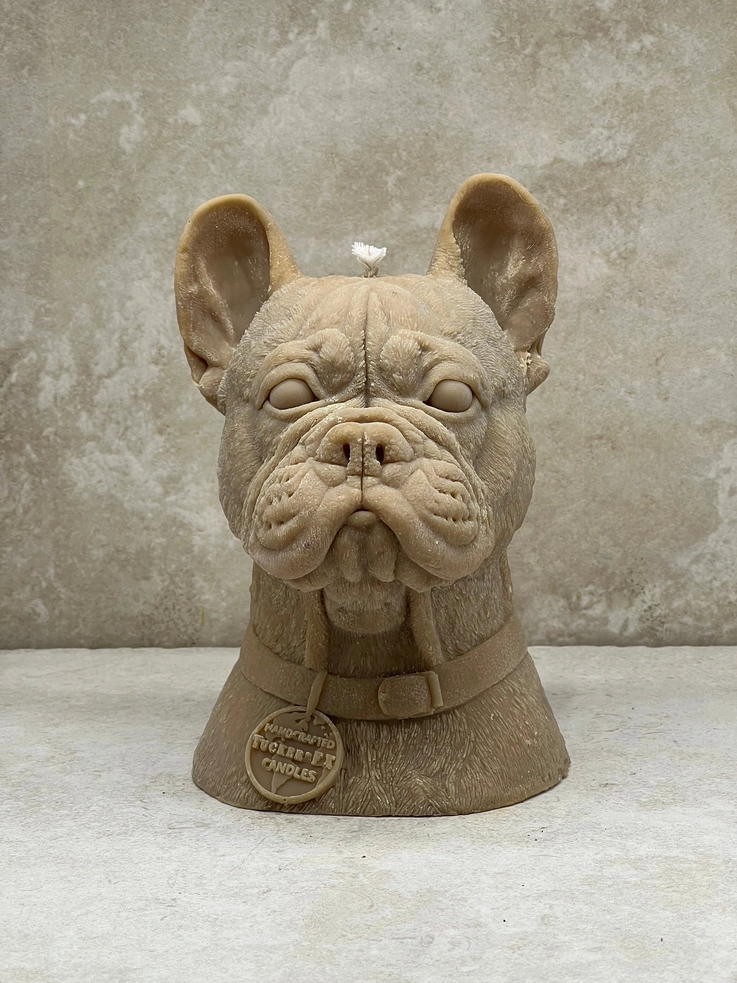 French Bulldog - Tuckersfx
