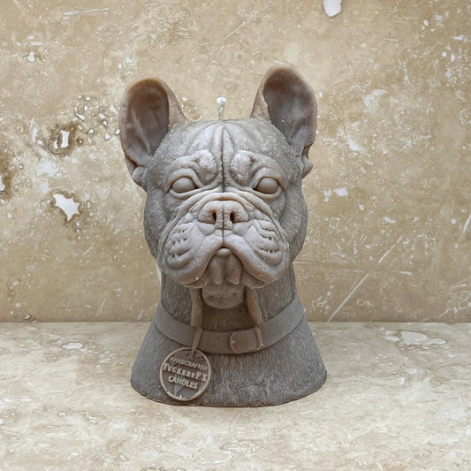 French Bulldog Tuckersfx