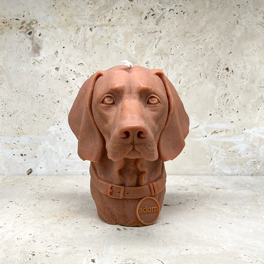 Vizsla Tuckersfx