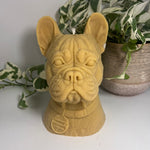 Load image into Gallery viewer, French Bulldog
